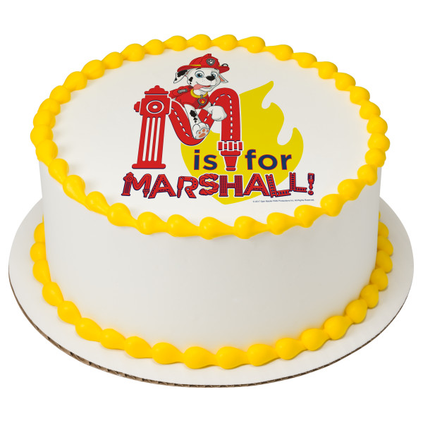 paw patrol marshall cake